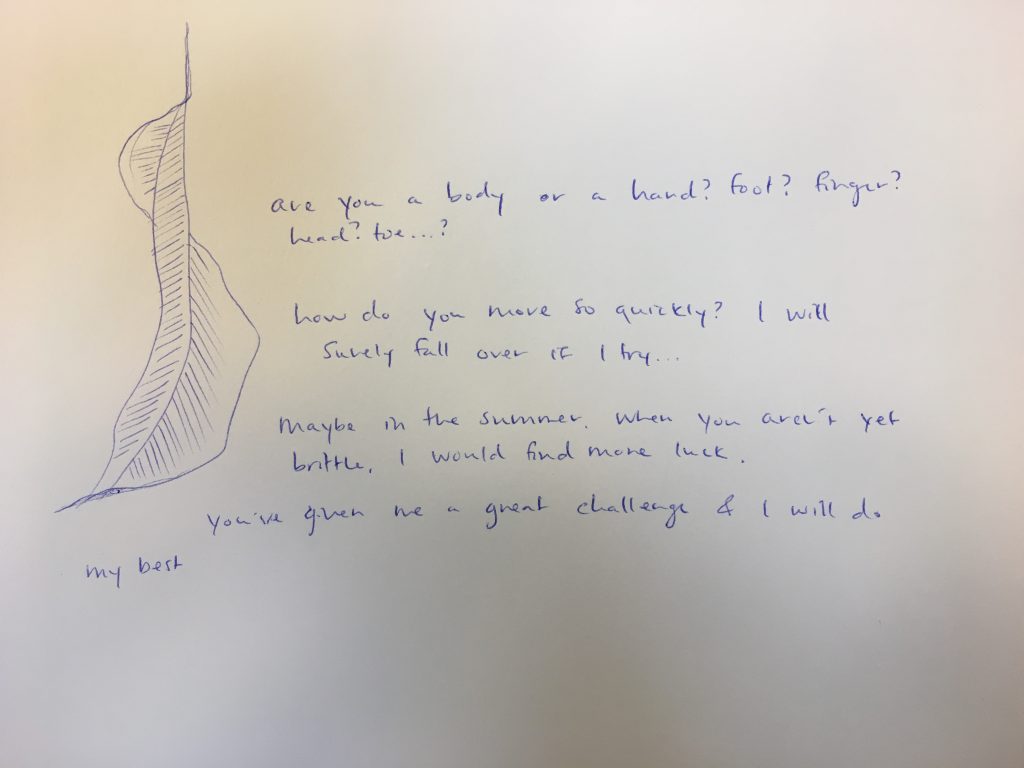 pictureofnotes